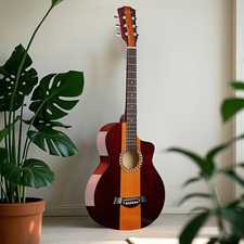 Acoustic guitar beginners for sale  NEWCASTLE