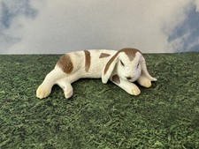 lop rabbits for sale  Fresno