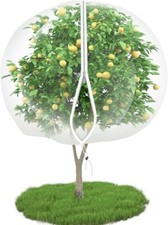 Large fruit tree for sale  Pflugerville