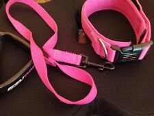 Halsband leine set gebraucht kaufen  Düsseldorf