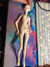 Bjd doll bare for sale  LEIGH