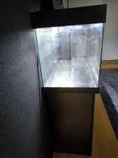 Aquarium juwel rio gebraucht kaufen  Vienenburg