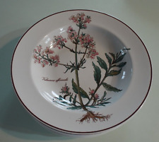 Villeroy boch botanica d'occasion  Expédié en Belgium