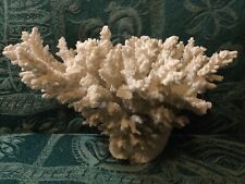Aquário marinho vintage de coral comprar usado  Enviando para Brazil