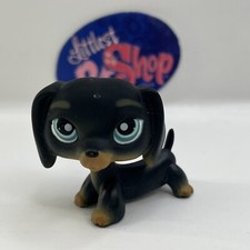 Dachshund dog 325 for sale  Alexandria