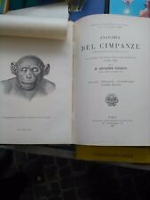 Anatomia del scimpanze usato  Rieti