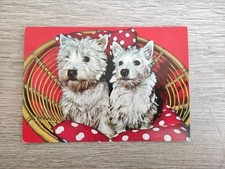 Westie west highland gebraucht kaufen  Borna
