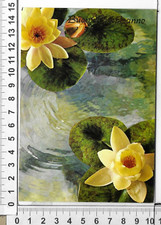 Lotto cartoline buon usato  Chieri
