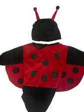 Lady bug halloween for sale  Corpus Christi
