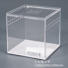 Acrylic invertebrate spider for sale  CROOK
