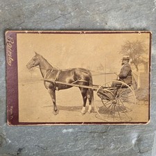 Antique cabinet card for sale  Pleasantville