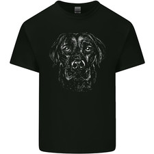Labrador retriever dog for sale  COVENTRY