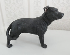 Black staffordshire bull for sale  UK