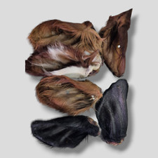 Premium getrocknete rinderohre gebraucht kaufen Premium getrocknete rinderohre gebraucht kaufen  Versand nach Germany