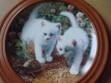 Sammelteller teller katzen gebraucht kaufen  Wöllstein