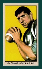 Joe namath jets for sale  Dickinson