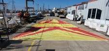 Symmetrical spinnaker luff for sale  Kemah
