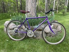 Bianchi bike for sale  Nisswa