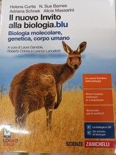 Nuovo invito alla usato  Latina