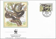 Bush snake elaphe d'occasion  Expédié en Belgium