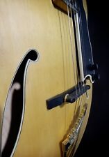Chitarra jazz angelico usato  Viterbo