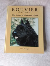 Bouvier des flanders for sale  BALLYMONEY