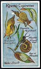 Robinson nature studies for sale  TAMWORTH