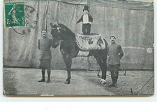 Nain cheval 9763 d'occasion  Igny