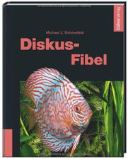 Diskus fibel michael gebraucht kaufen  Berlin