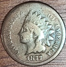 1877 indian head cent for sale 1877 indian head cent for sale Jefferson City