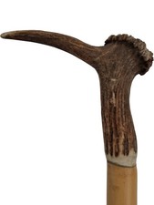 Antler handle walking for sale  UK