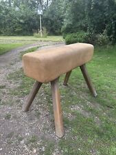 Vintage hide leather for sale  EYE
