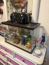 Gallon tank lid for sale  Carle Place