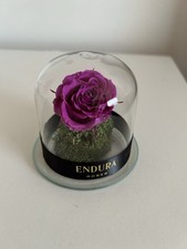 Endura roses forever for sale  LIVERPOOL
