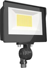 Rab lighting flood for sale  Brooklyn