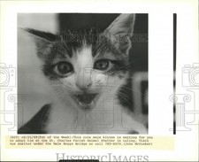 1989 press photo for sale  Memphis