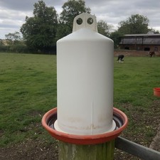 10l poultry chicken for sale  LEICESTER