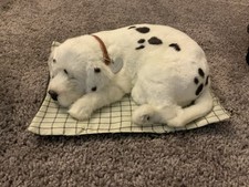 Perfect petzzz dalmatian for sale  Wappingers Falls