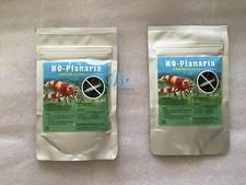 Genchem planaria shrimp for sale  San Jose