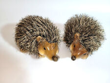 Niedliche wuschelige igel gebraucht kaufen  Karlsruhe