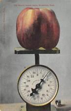 Largest apple wenatchee for sale  Foresthill