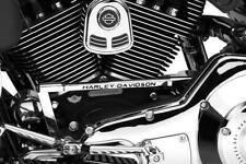 Cover cambio harley usato  Napoli
