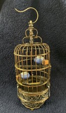 Chinese miniature bamboo for sale  American Canyon