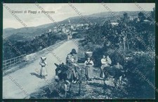 Frosinone fiuggi asino usato  Gambolo