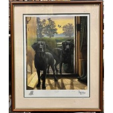 Early risers nigel for sale  KENILWORTH