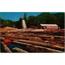 Old sawmill vintage for sale  Belleville