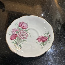Queen anne pink for sale  LIVERPOOL