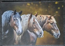 Pferdepostkarte pferde pferdep gebraucht kaufen  Sondershausen