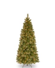 National tree company for sale  Dayton