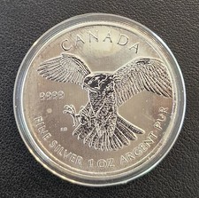 2014 canada peregrine d'occasion  Expédié en Belgium